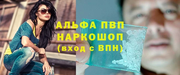 шишки Каменка