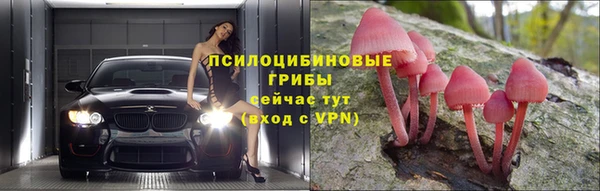 ПСИЛОЦИБИНОВЫЕ ГРИБЫ Каменногорск