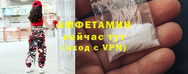 молекула духа Каменск-Шахтинский