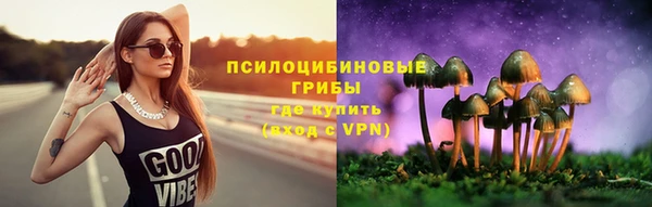 прущие грибы Касимов