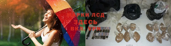 молекула духа Каменск-Шахтинский