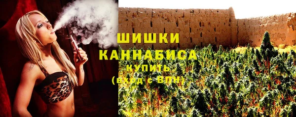 ПСИЛОЦИБИНОВЫЕ ГРИБЫ Каменногорск