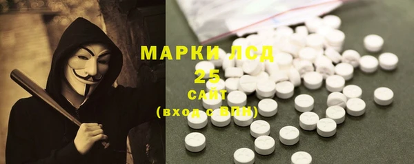 шишки Каменка