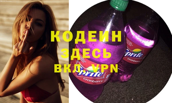 шишки Каменка