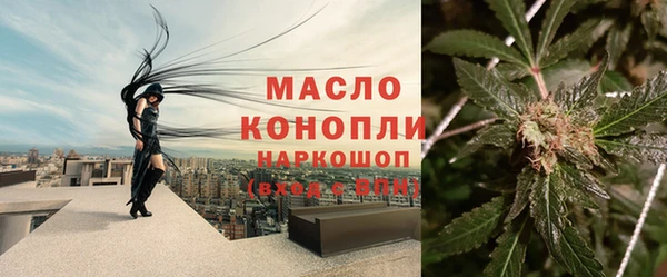 шишки Каменка