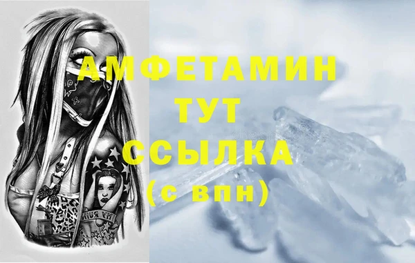 шишки Каменка