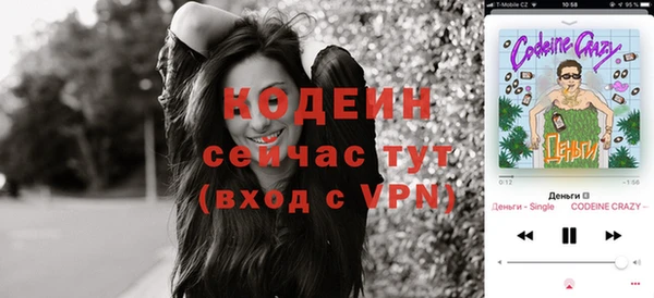 шишки Каменка