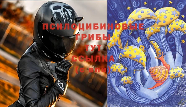ПСИЛОЦИБИНОВЫЕ ГРИБЫ Каменногорск