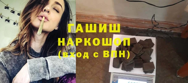 шишки Каменка